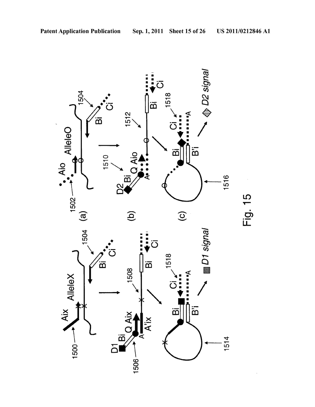 Methods and compositions for universal detection of nucleic acids - diagram, schematic, and image 16