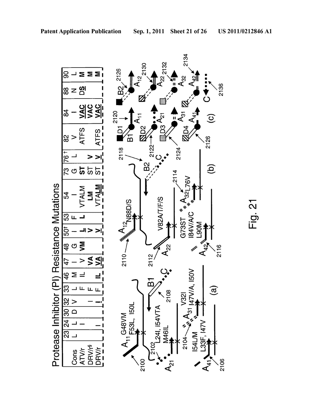 Methods and compositions for universal detection of nucleic acids - diagram, schematic, and image 22