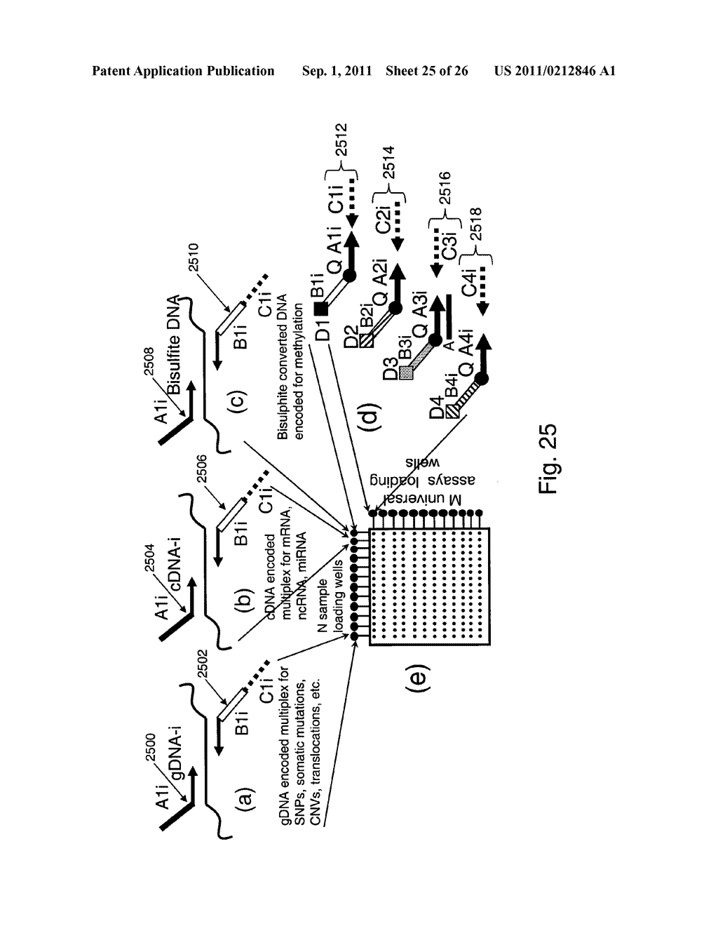Methods and compositions for universal detection of nucleic acids - diagram, schematic, and image 26