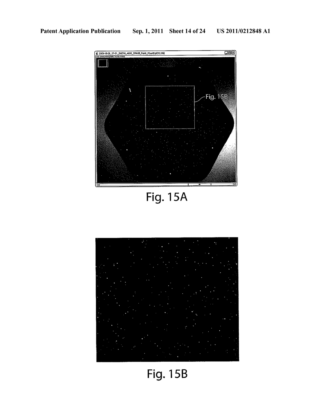 ULTRA-SENSITIVE DETECTION OF MOLECULES OR PARTICLES USING BEADS OR OTHER     CAPTURE OBJECTS - diagram, schematic, and image 15