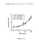 NOVEL DIAGNOSTIC METHOD diagram and image