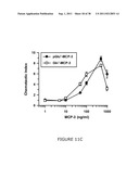 NOVEL DIAGNOSTIC METHOD diagram and image