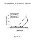 NOVEL DIAGNOSTIC METHOD diagram and image