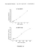 NOVEL DIAGNOSTIC METHOD diagram and image