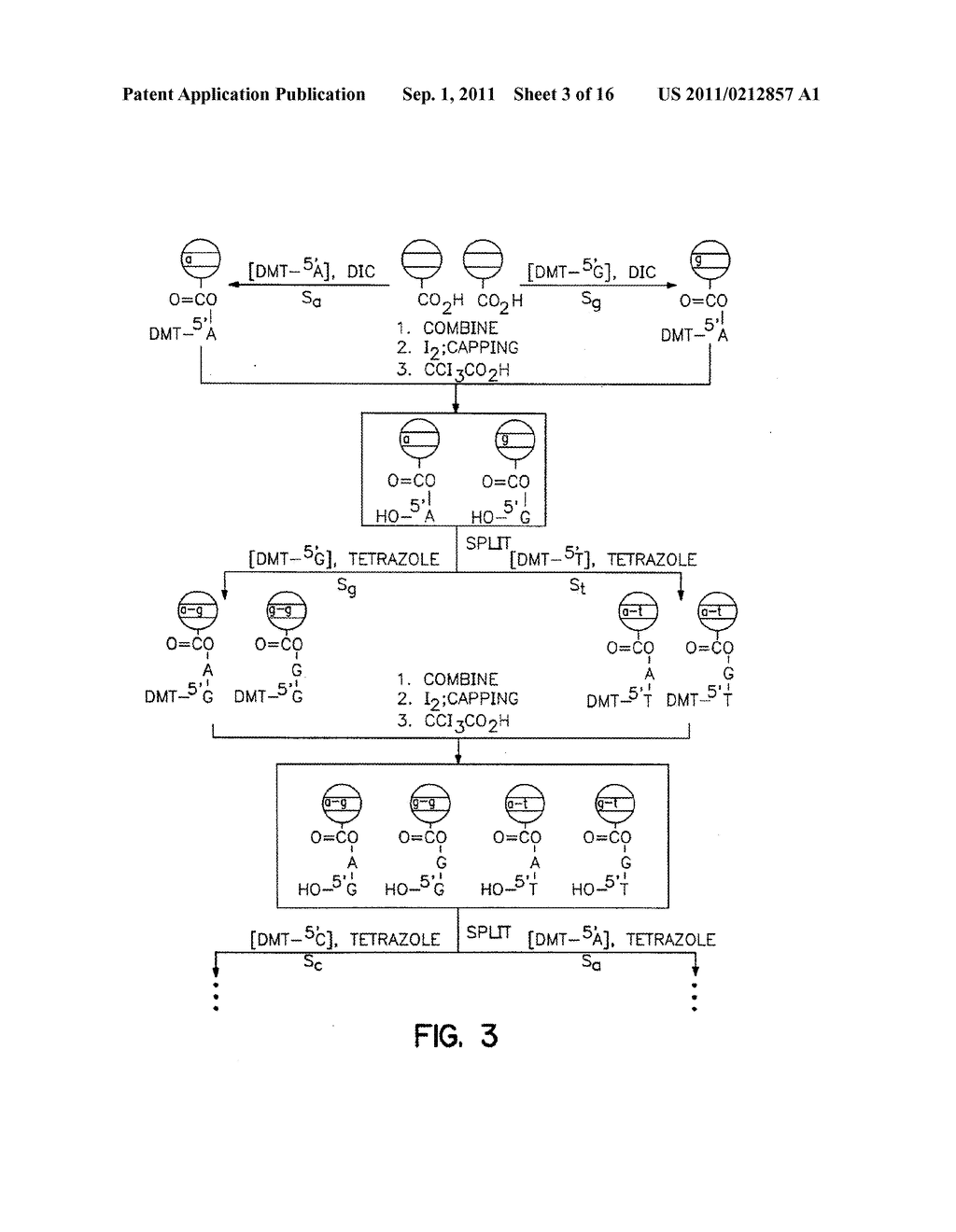 Multiplexed Assay Using Encoded Solid Support Matrices - diagram, schematic, and image 04