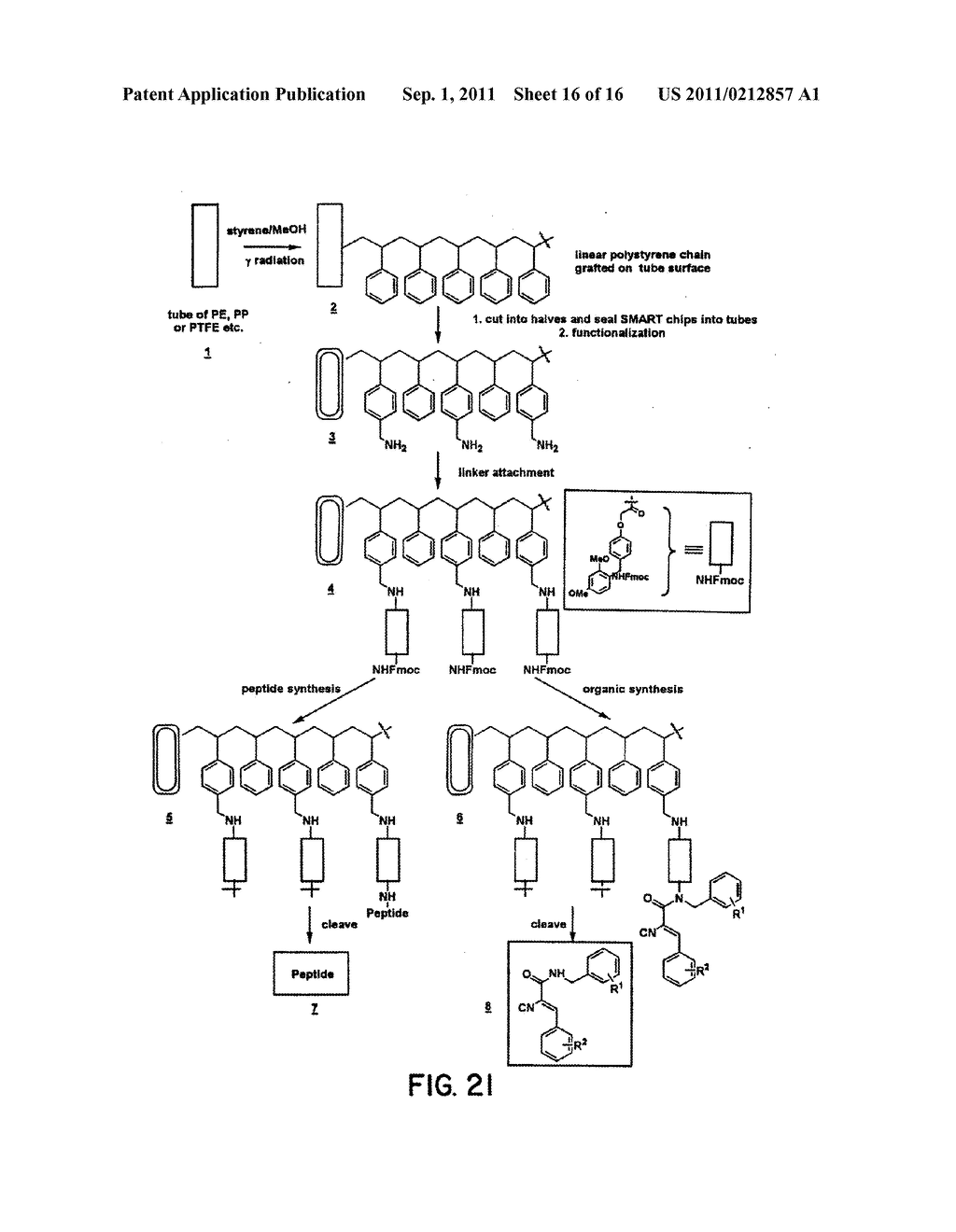 Multiplexed Assay Using Encoded Solid Support Matrices - diagram, schematic, and image 17