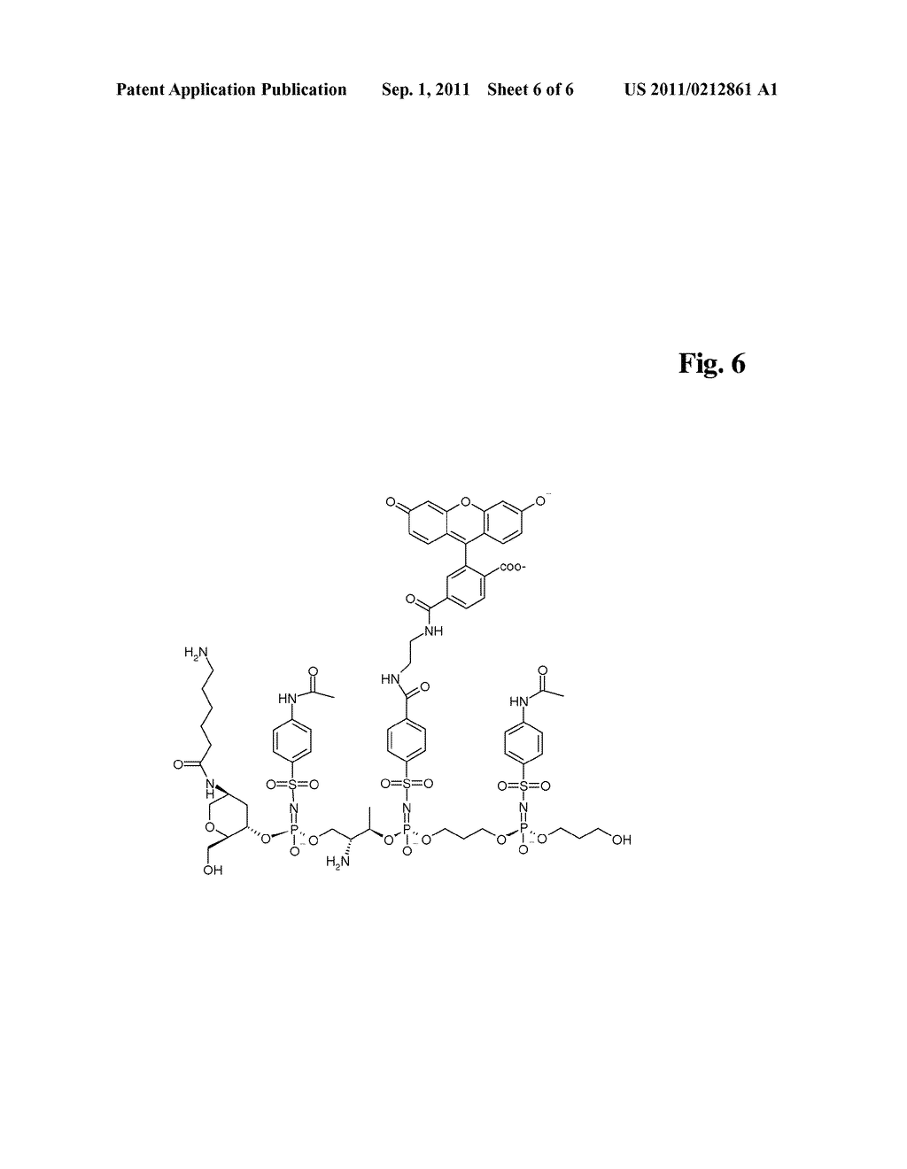 DIRECTED SYNTHESIS OF OLIGOPHOSPHORAMIDATE STEREOISOMERS - diagram, schematic, and image 07