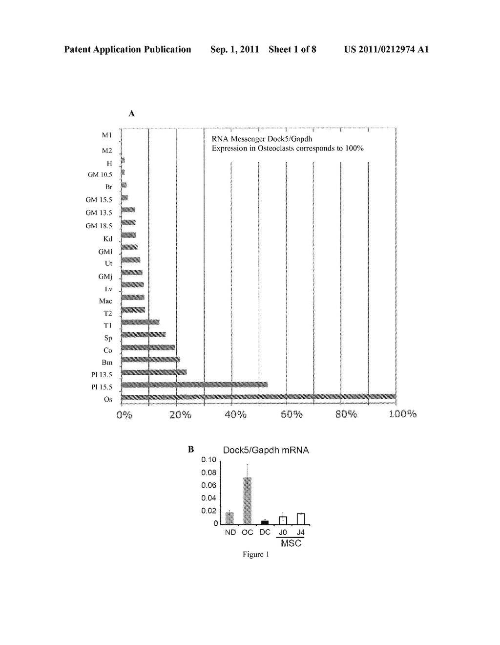 METHOD FOR IDENTIFYING COMPOUNDS USEFUL FOR TREATING AND/OR PREVENTING     DISEASE-ASSOCIATED BONE LOSS - diagram, schematic, and image 02