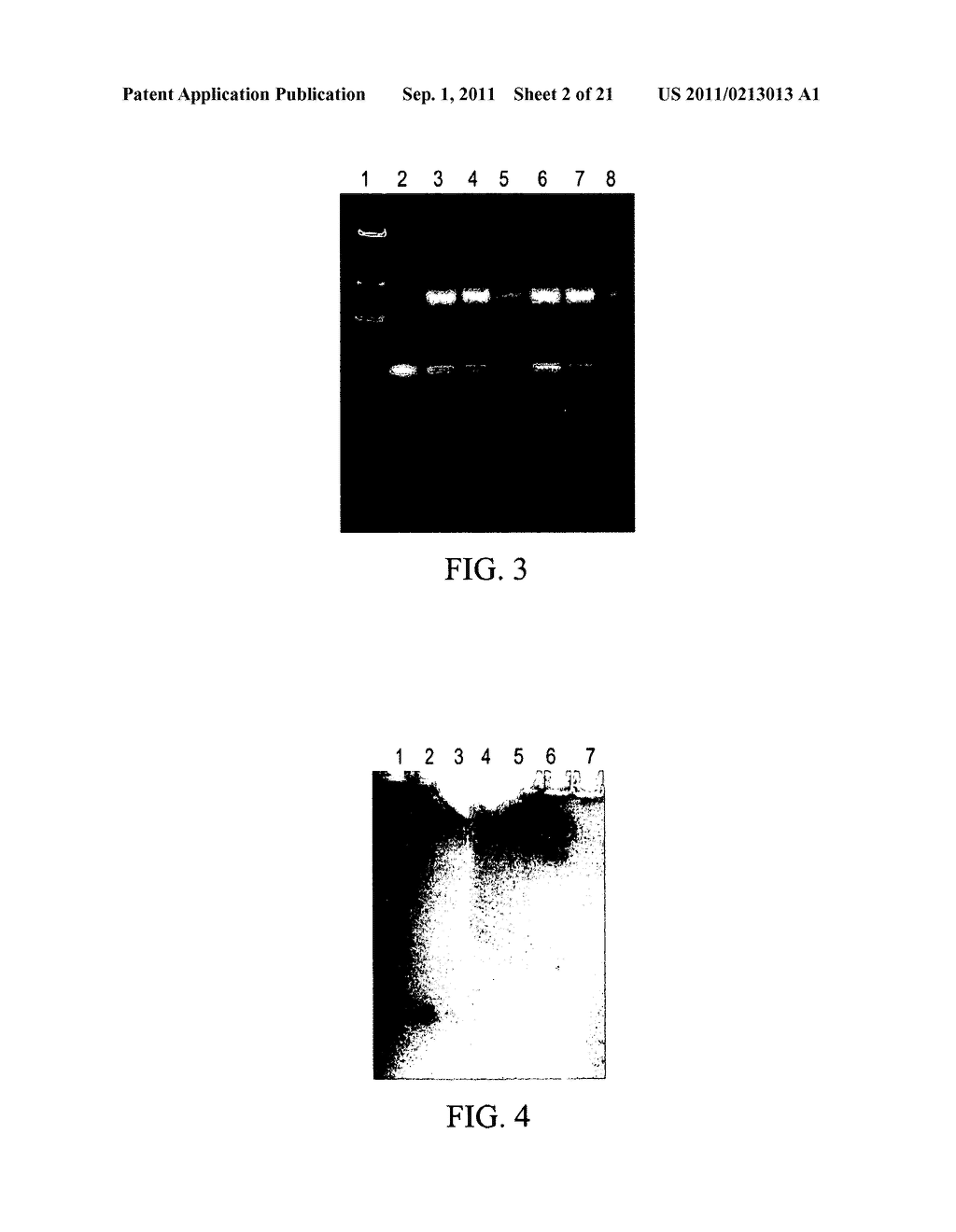 Complexes of Small-Interfering Nucleic Acids - diagram, schematic, and image 03