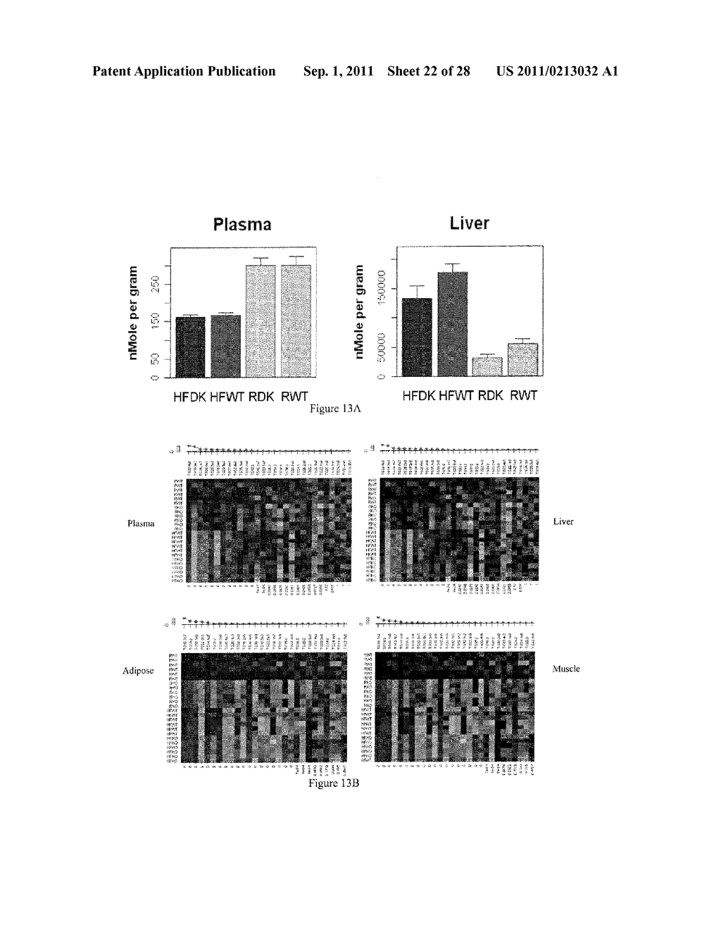 FATTY ACID C16: 1N7-PALMITOLEATE A LIPOKINE AND BIOMARKER FOR METABOLIC     STATUS - diagram, schematic, and image 23