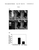 NANOPARTICLE SENSOR FOR MEASURING PROTEASE ACTIVITY AND METHOD FOR     MANUFACTURING THE SAME diagram and image