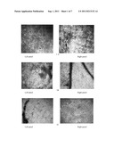 PRODUCTION OF NGF IN PLANT diagram and image