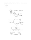 Transition Metal-Catalyzed C-H Amination Using Unactivated Amines diagram and image