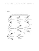 Transition Metal-Catalyzed C-H Amination Using Unactivated Amines diagram and image