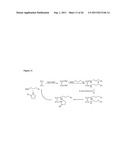 Transition Metal-Catalyzed C-H Amination Using Unactivated Amines diagram and image