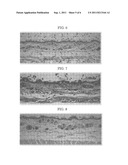 NOVEL COMPOUND CERAMIDASTIN, METHOD FOR PRODUCING THE SAME, AND USE OF THE     SAME diagram and image