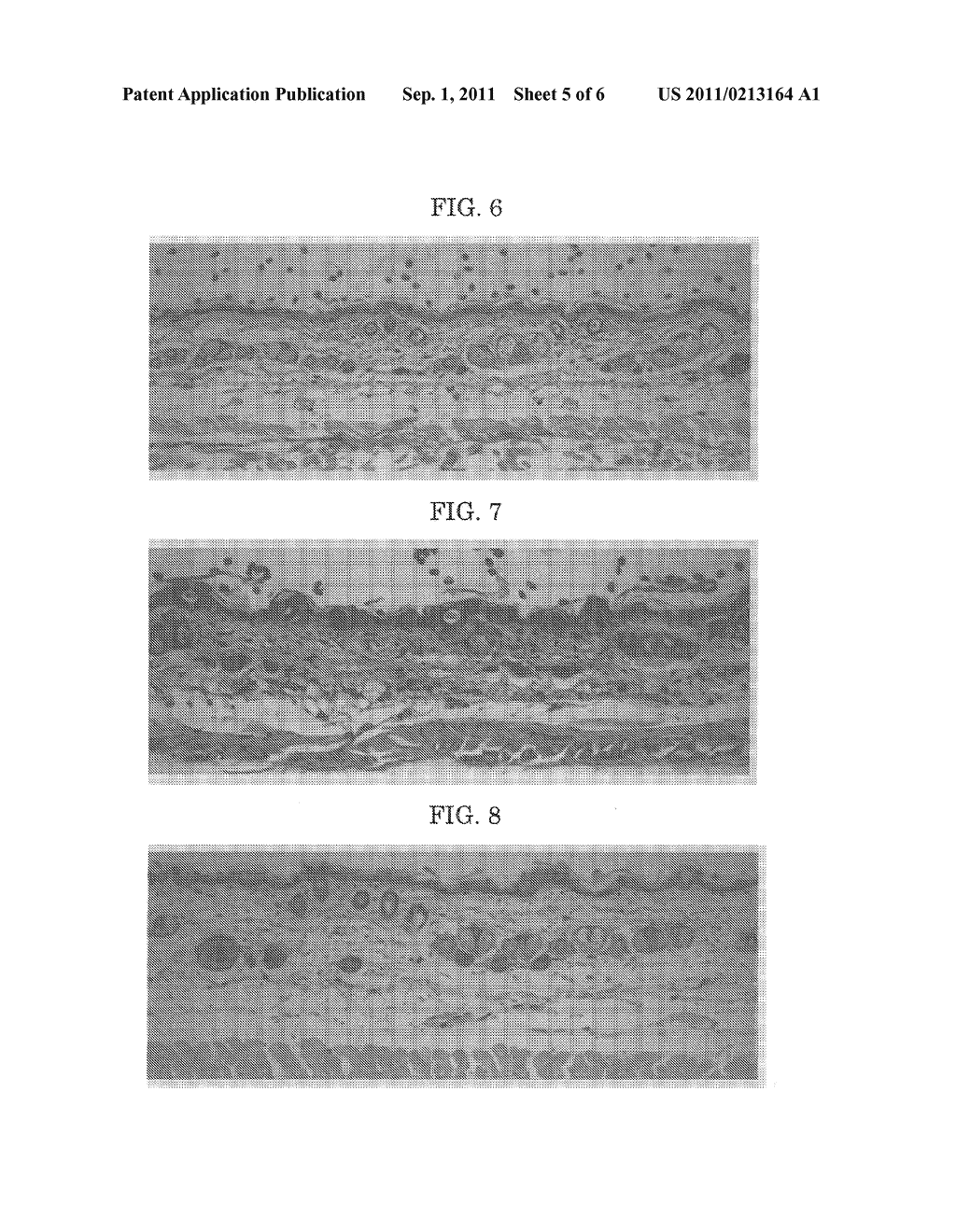 NOVEL COMPOUND CERAMIDASTIN, METHOD FOR PRODUCING THE SAME, AND USE OF THE     SAME - diagram, schematic, and image 06