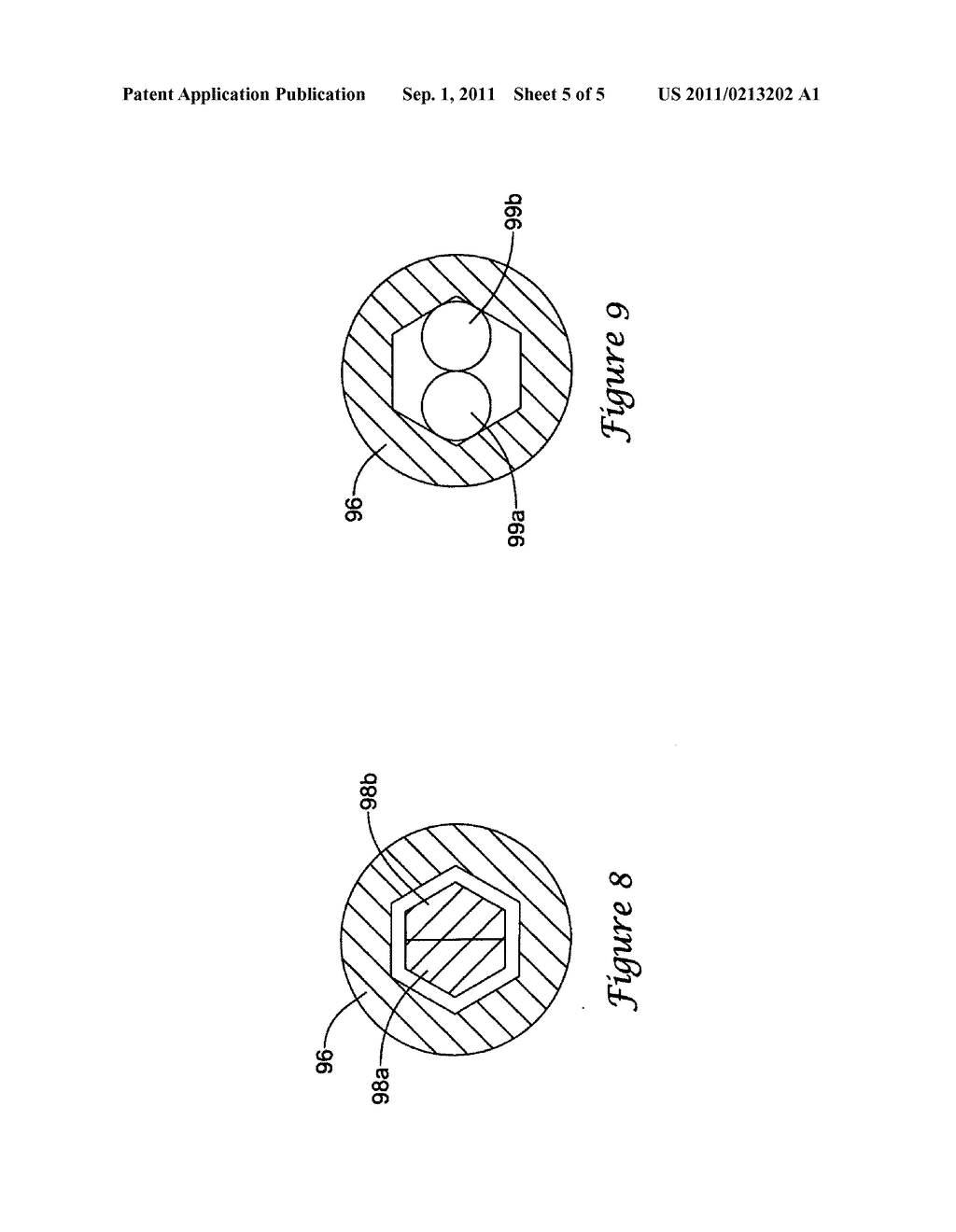 ENDOSCOPE WORKING CHANNEL WITH MULTIPLE FUNCTIONALITY - diagram, schematic, and image 06