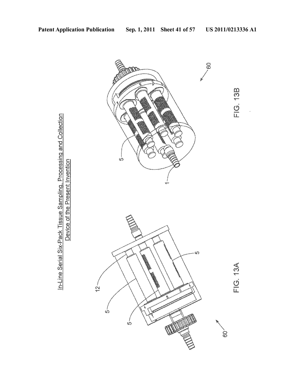 METHOD OF AND APPARATUS FOR SAMPLING, PROCESSING AND COLLECTING TISSUE AND     REINJECTING THE SAME INTO HUMAN PATIENTS - diagram, schematic, and image 42