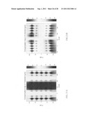 Method and apparatus for performing pattern alignment to plurality of dies diagram and image