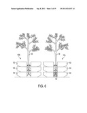 Methods and Apparatuses for Plant Aeration diagram and image