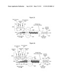 WAVE-LIKE STRUCTURES BONDED TO FLAT SURFACES IN UNITIZED COMPOSITES AND     METHODS FOR MAKING SAME diagram and image