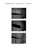 SUBCELLULAR ANALYSIS BY LASER ABLATION ELECTROSPRAY IONIZATION MASS     SPECTROMETRY diagram and image