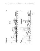 SUBCELLULAR ANALYSIS BY LASER ABLATION ELECTROSPRAY IONIZATION MASS     SPECTROMETRY diagram and image