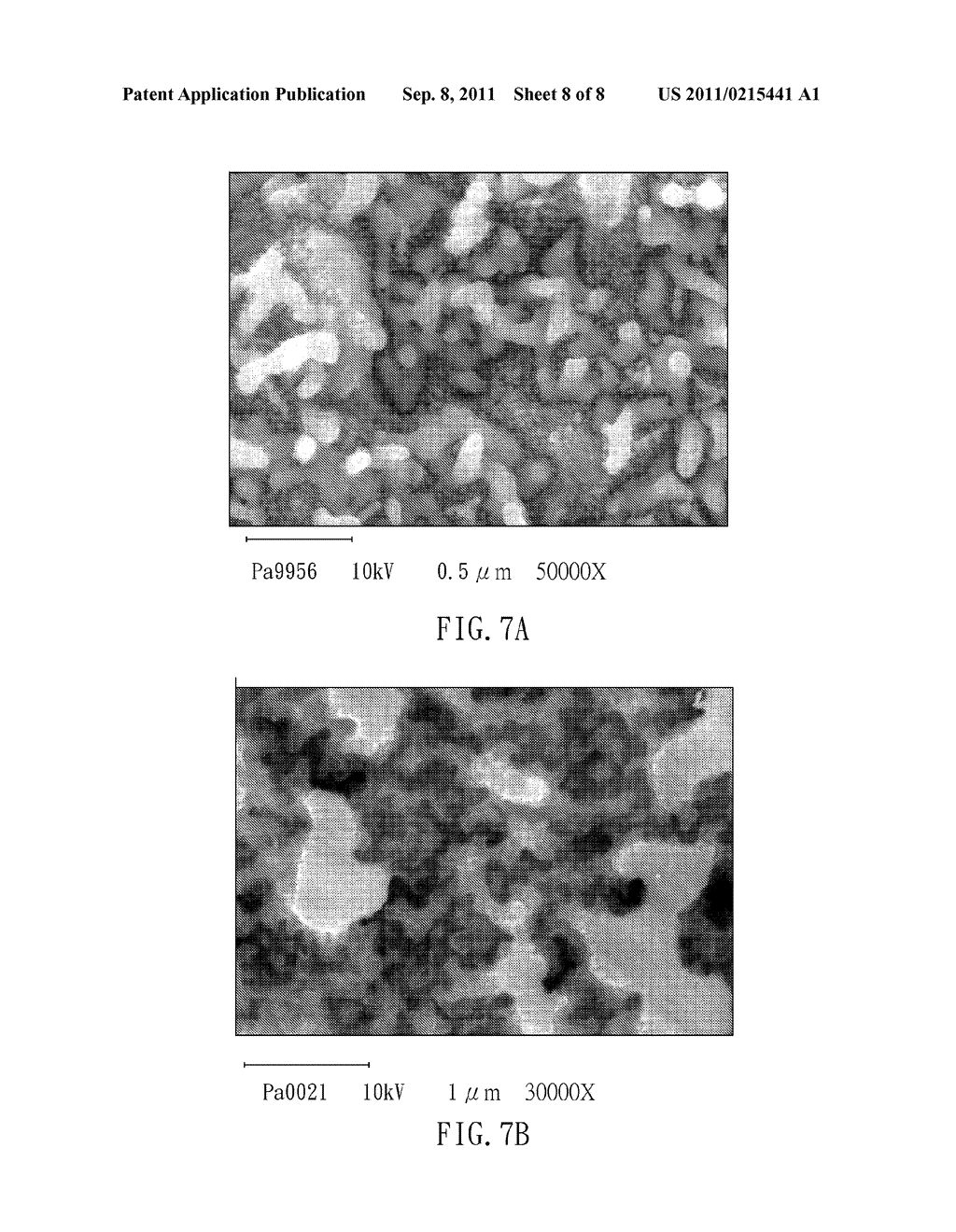SILICON NANOSTRUCTURES AND METHOD FOR PRODUCING THE SAME AND APPLICATION     THEREOF - diagram, schematic, and image 09