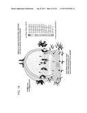 OFFSHORE ENERGY HARVESTING, STORAGE, AND POWER GENERATION SYSTEM diagram and image