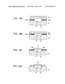 Thermal head, printer, and manufacturing method for the thermal head diagram and image