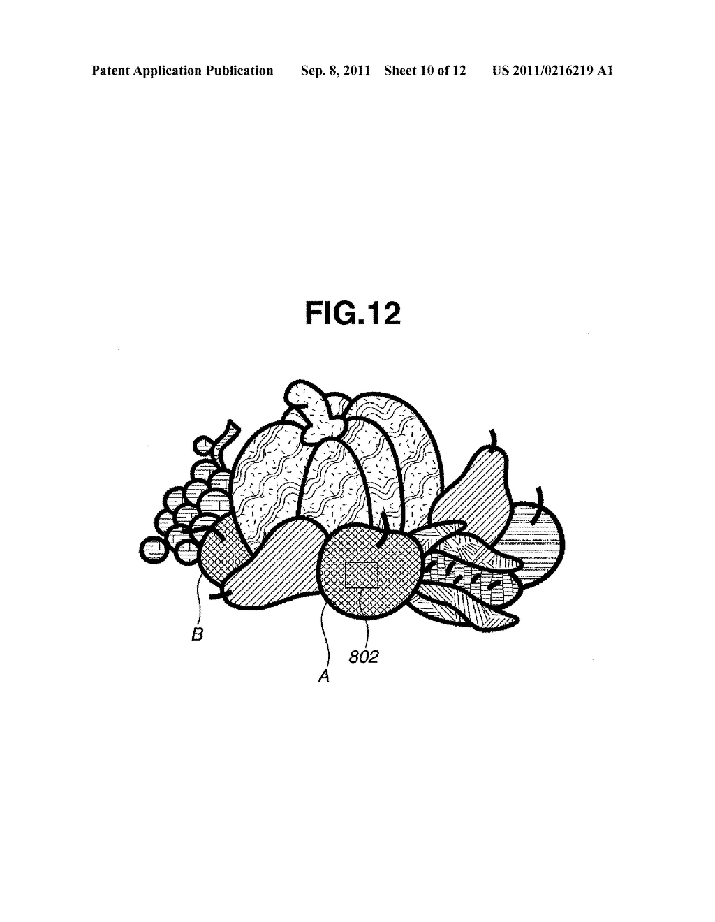 IMAGE PICKUP APPARATUS AND CONTROL METHOD THEREOF - diagram, schematic, and image 11