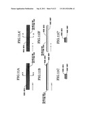 LIGHT SCANNING DEVICE, AND IMAGE FORMING APPARATUS HAVING THE SAME diagram and image