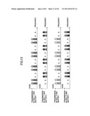 TRANSMISSION APPARATUS AND COMMUNICATION METHOD diagram and image