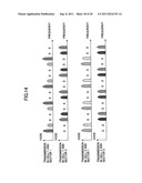 TRANSMISSION APPARATUS AND COMMUNICATION METHOD diagram and image