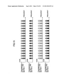 TRANSMISSION APPARATUS AND COMMUNICATION METHOD diagram and image