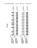 TRANSMISSION APPARATUS AND COMMUNICATION METHOD diagram and image