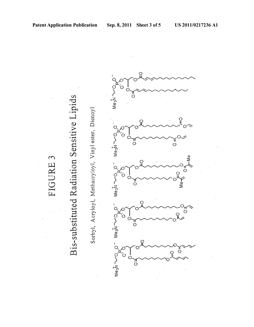 RADIATION SENSITIVE LIPOSOMES - diagram, schematic, and image 04