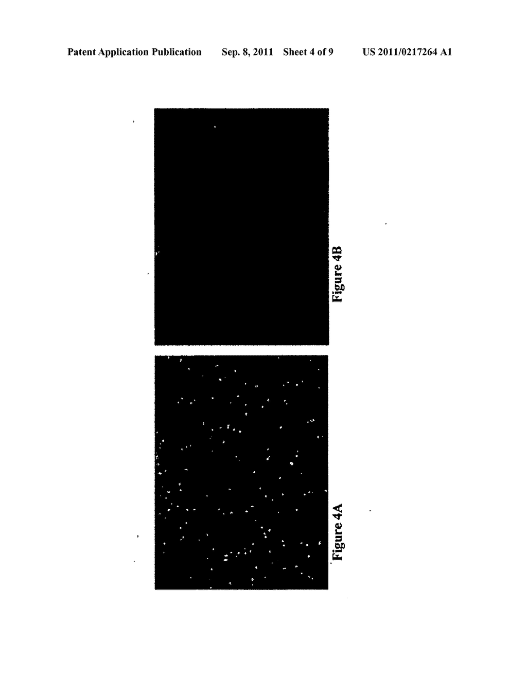 METHODS AND COMPOSITIONS FOR DELIVERY OF EXOGENOUS FACTORS TO NERVIOUS     SYSTEM SITES - diagram, schematic, and image 05