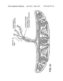 TREATMENT OF DISEASES OR DISORDERS USING PLACENTAL STEM CELLS diagram and image