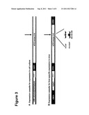 Factor IX Variants with Clotting Activity in Absence of Their Cofactor and     Their Use for Treating Bleeding Disorders diagram and image