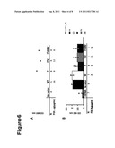 Factor IX Variants with Clotting Activity in Absence of Their Cofactor and     Their Use for Treating Bleeding Disorders diagram and image