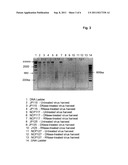 NOVEL METHOD diagram and image