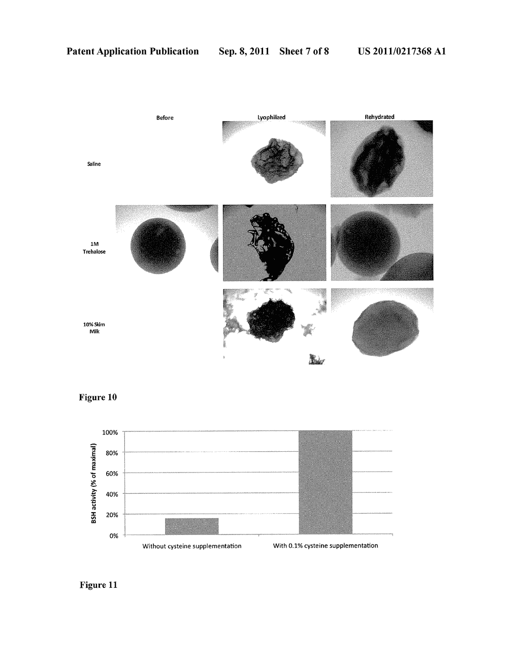 BACTERIAL COMPOSITIONS FOR PROPHYLAXIS AND TREATMENT OF DEGENERATIVE     DISEASE - diagram, schematic, and image 08