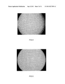 Method for extracting mesenchymal stem cell from human or animal embryo     and for extracting the secretion product thereof diagram and image