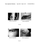 Method for extracting mesenchymal stem cell from human or animal embryo     and for extracting the secretion product thereof diagram and image