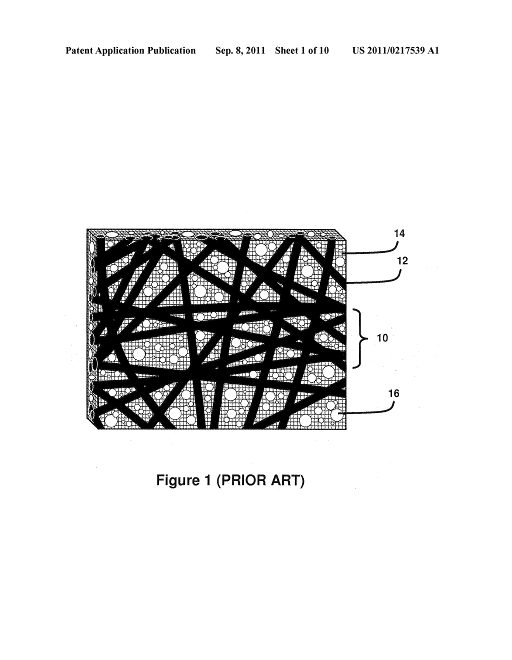 POROUS INTERPENETRATING POLYMER NETWORK - diagram, schematic, and image 02