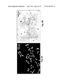 Frozen Ionic Liquid Microparticles and Nanoparticles, and Methods for     their Synthesis and Use diagram and image