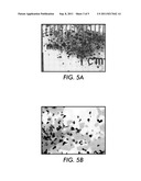 CHARGE TRANSPORT PARTICLES diagram and image