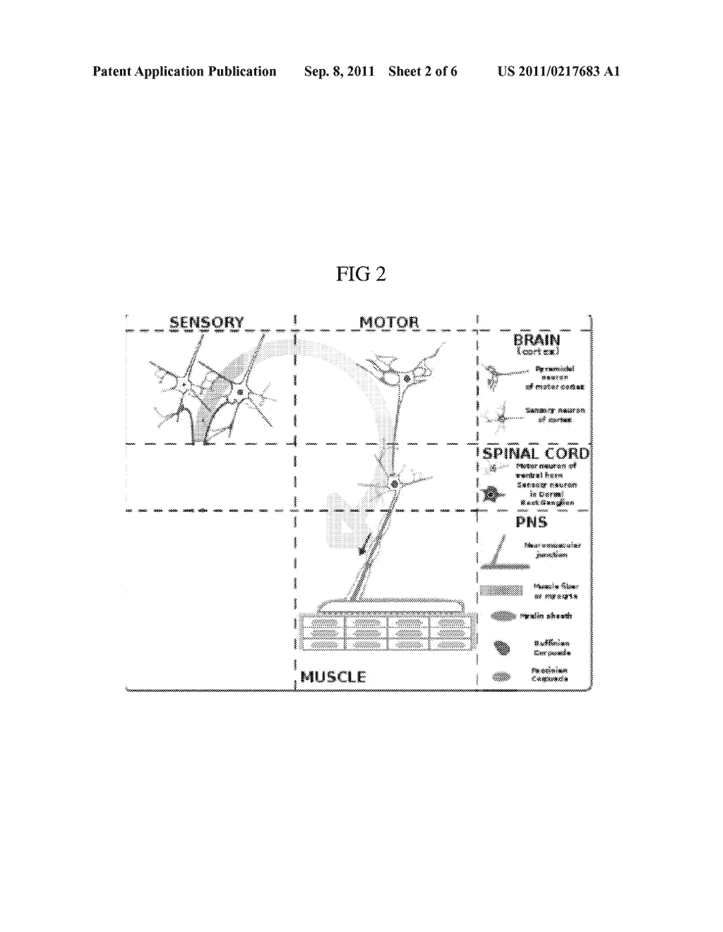 METHODS AND SYSTEMS FOR USING A VISUAL SIGNAL AS A CONCENTRATION AID - diagram, schematic, and image 03